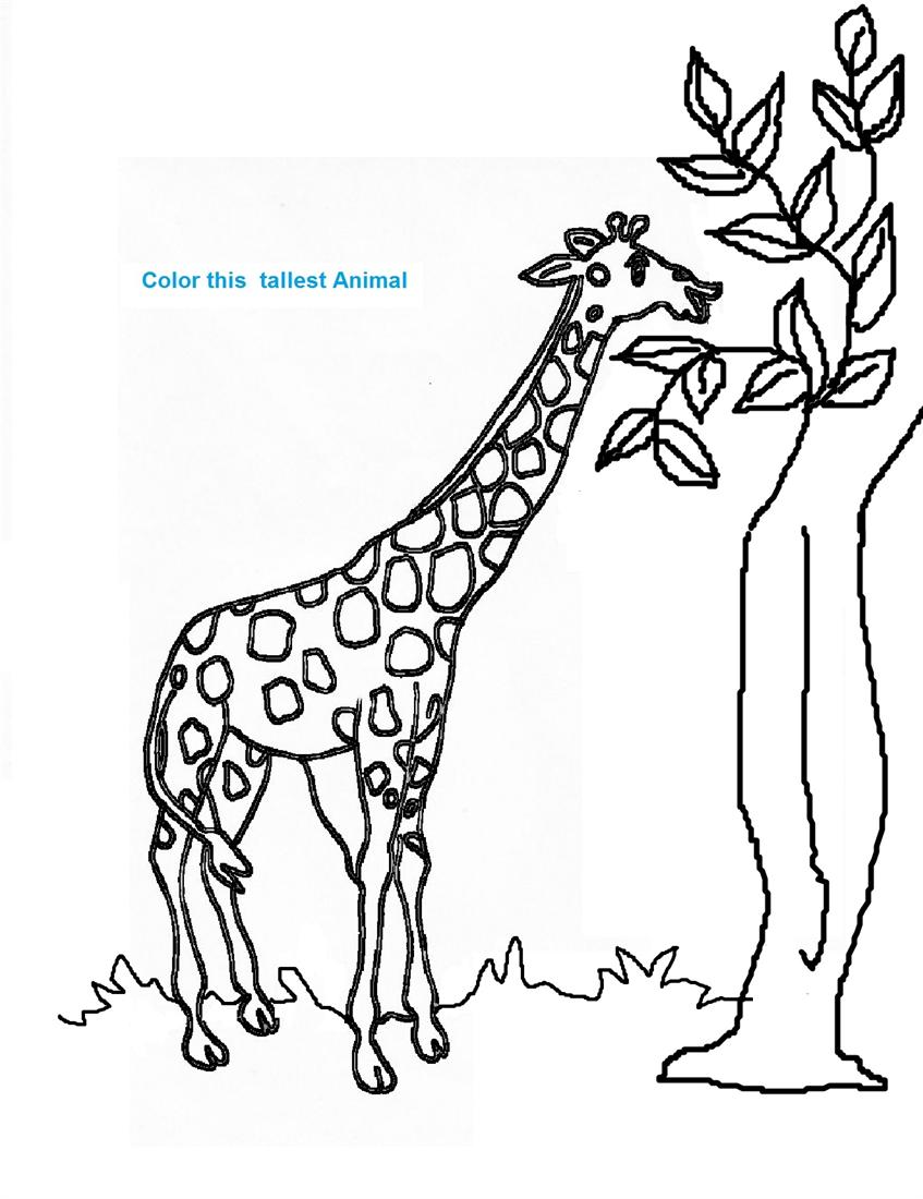 giraffe background coloring pages - photo #2