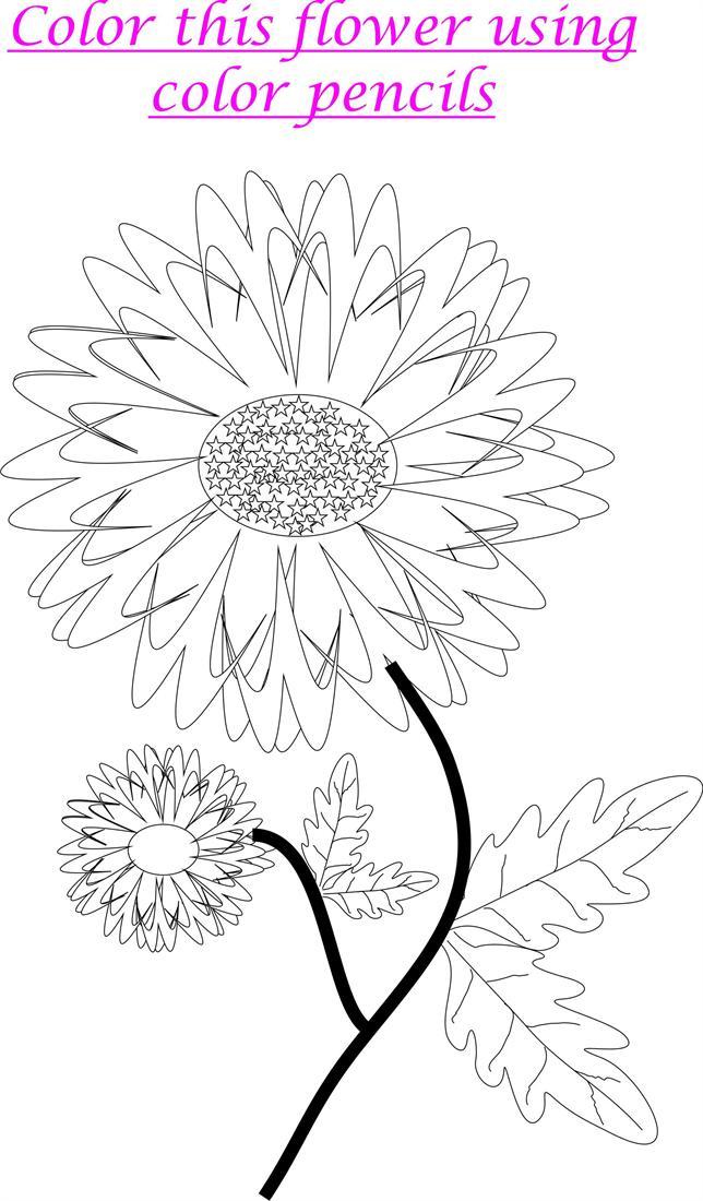 Marigold coloring printable worksheet for kids
