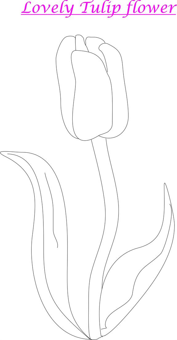 Tulip coloring page printable for kids
