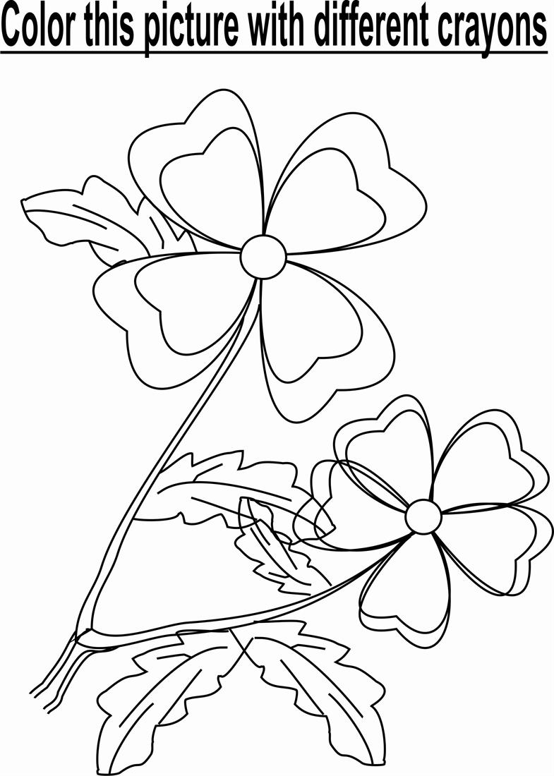 Flower In Garden Coloring Page