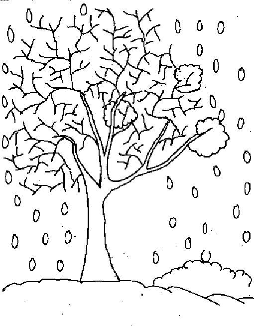 Coloring Page Winter Tree | winter trees colouring pages Coloring Page Winter Tree | winter trees colouring pages