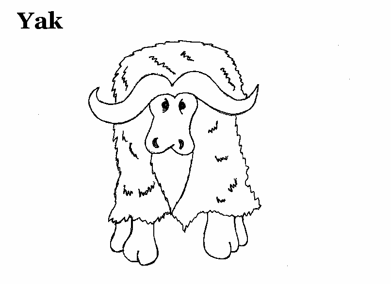 Coloring Pages Yak : Yak coloring pages Coloring Pages Yak : Yak coloring pages
