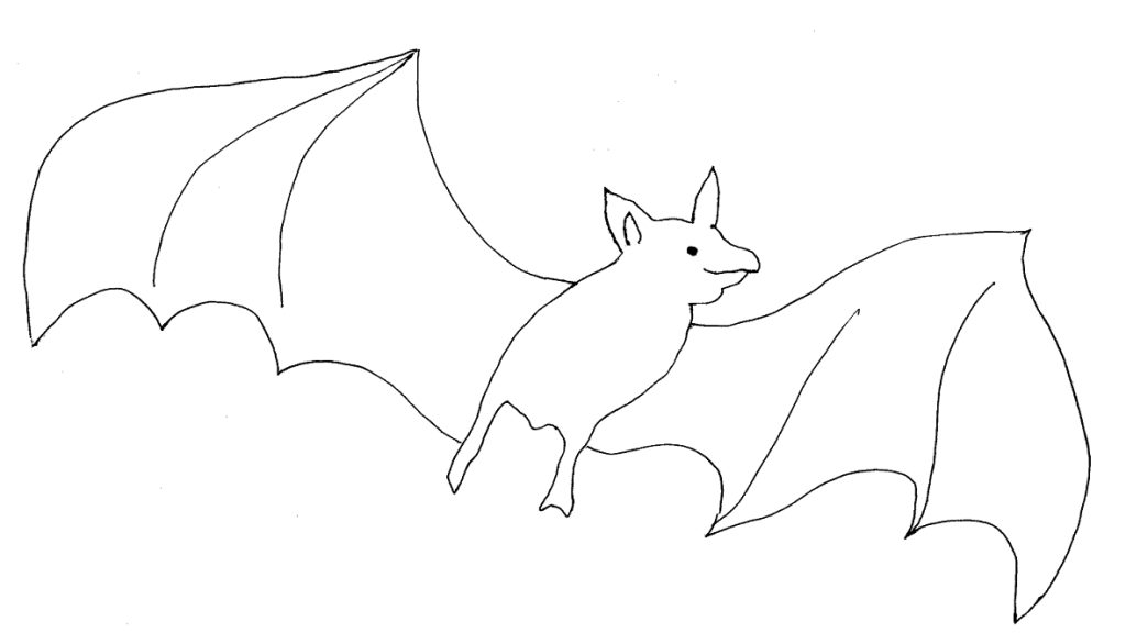 bat printable coloring page for kids