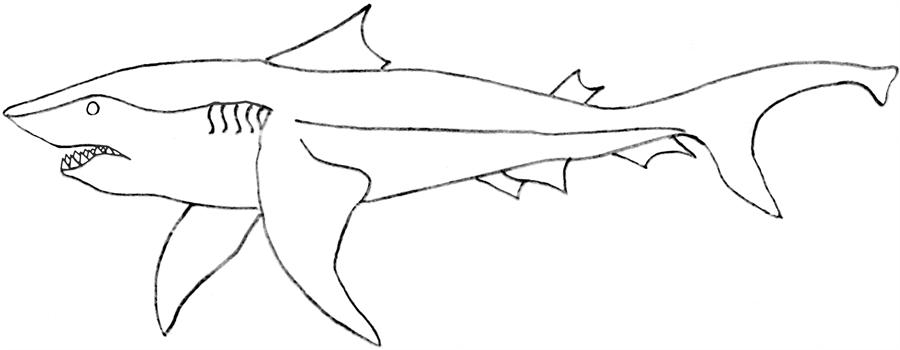 Shark Coloring Pages Pdf : Killer shark printable coloring page for kids Shark Coloring Pages Pdf : Killer shark printable coloring page for kids