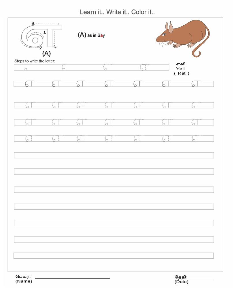 Alphabet Letter Worksheets Related Keywords & Suggestions, Long worksheets, worksheets for teachers, education, learning, and multiplication Tamil Alphabets Worksheets Printable 1000 x 812 Alphabet Letter Worksheets Related Keywords & Suggestions, Long worksheets, worksheets for teachers, education, learning, and multiplication Tamil Alphabets Worksheets Printable 1000 x 812