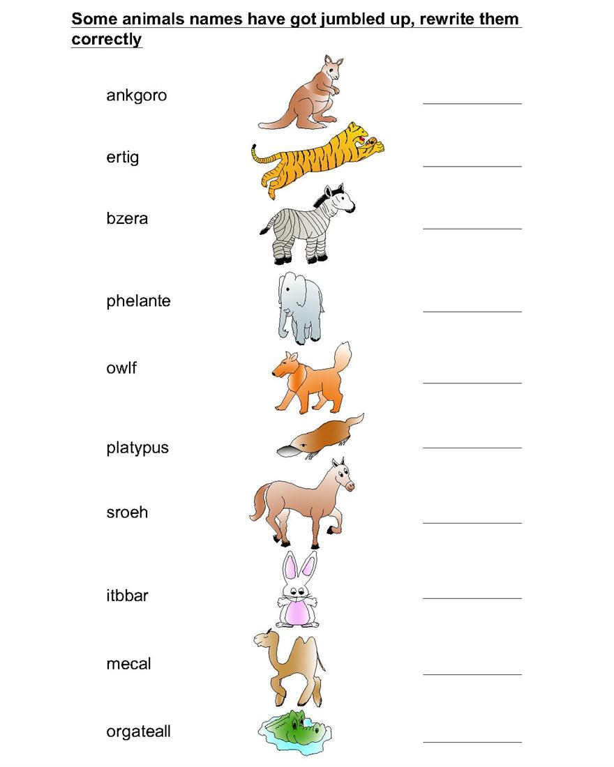 Animal Names Jumbled Word Worksheets
