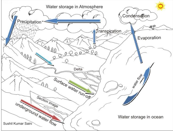 water cycle for coloring