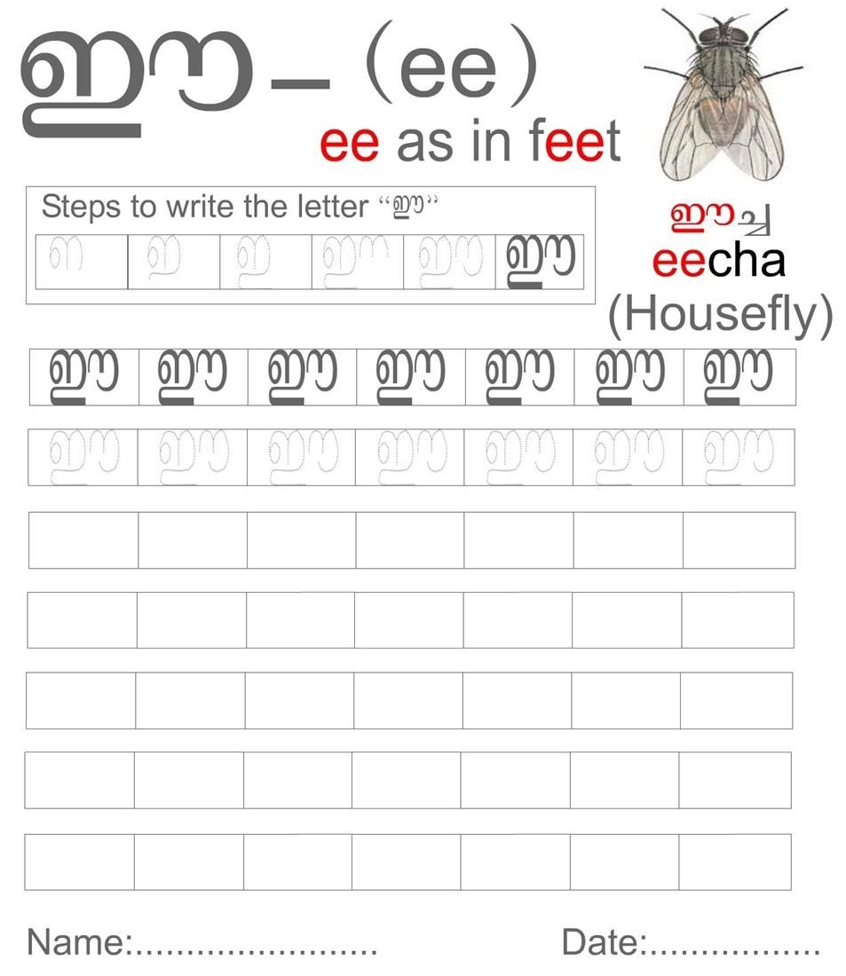 the letter a worksheet the letter a worksheet