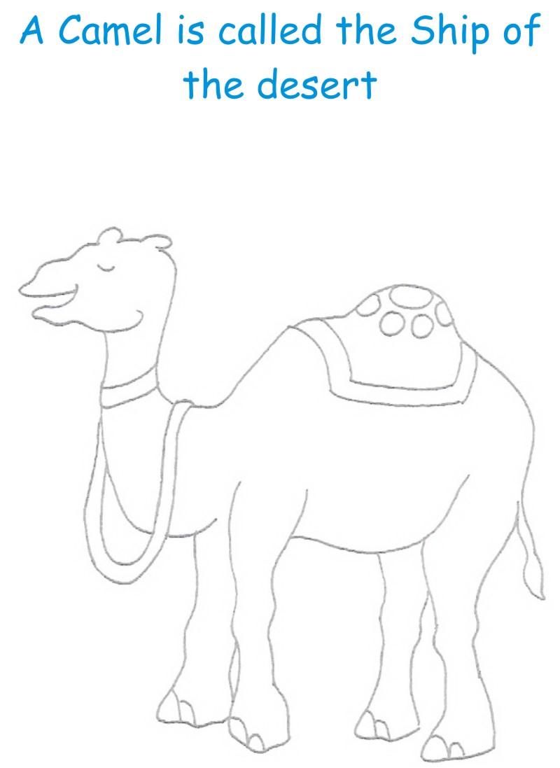 Camel printable coloring page for kids
