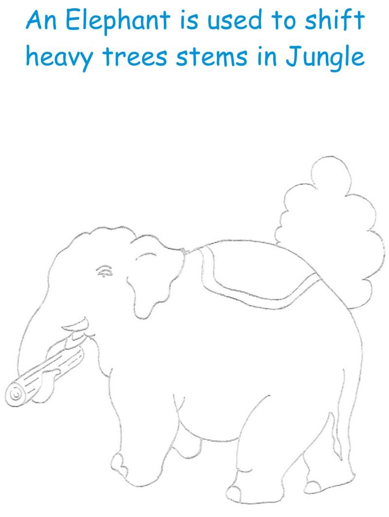 Elephant printable coloring page for kids