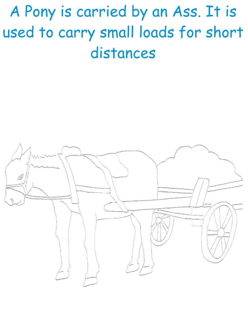 Pony printable coloring page for kids