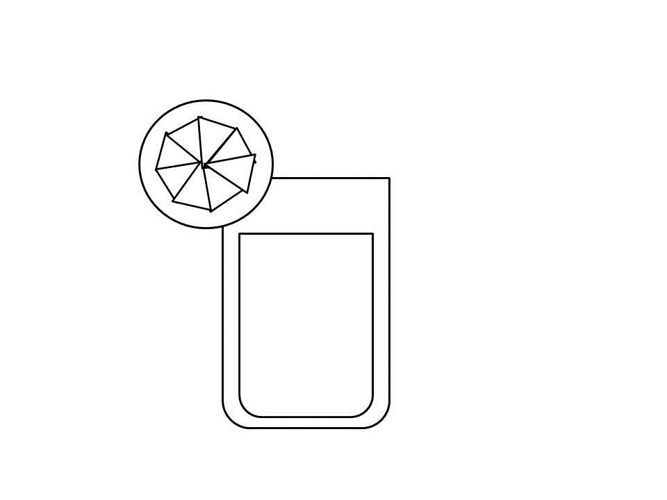 Step 12