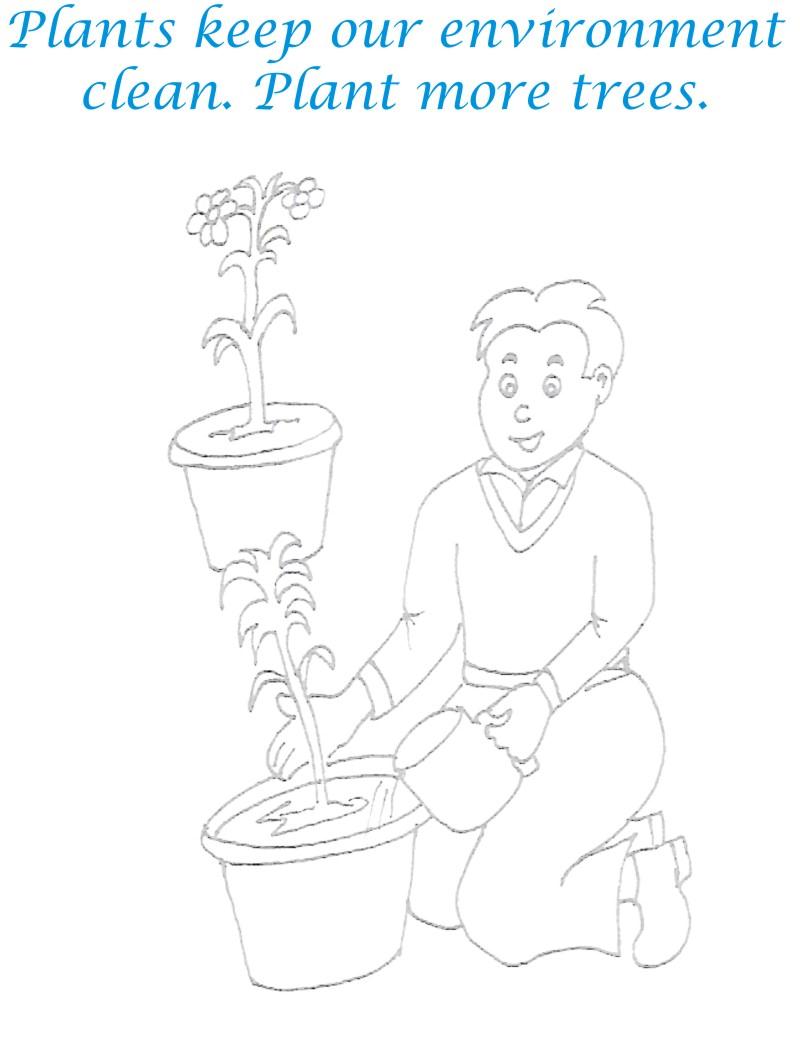 Plant Trees Coloring Page