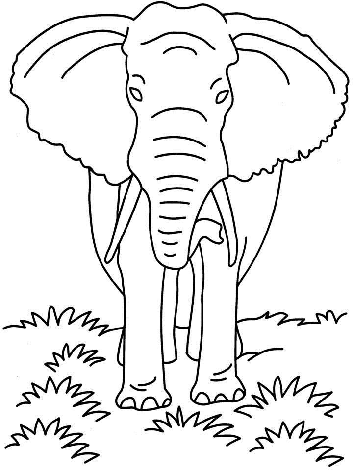 african wild dog coloring pages - photo #35