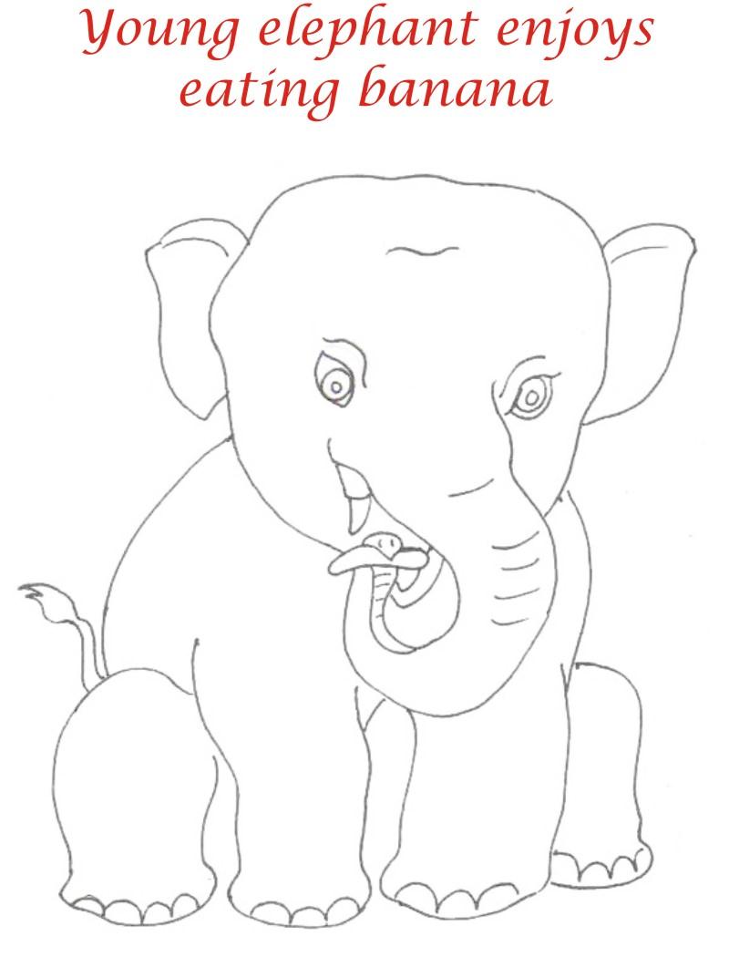 Young elephant enjoys banana coloring page for kids