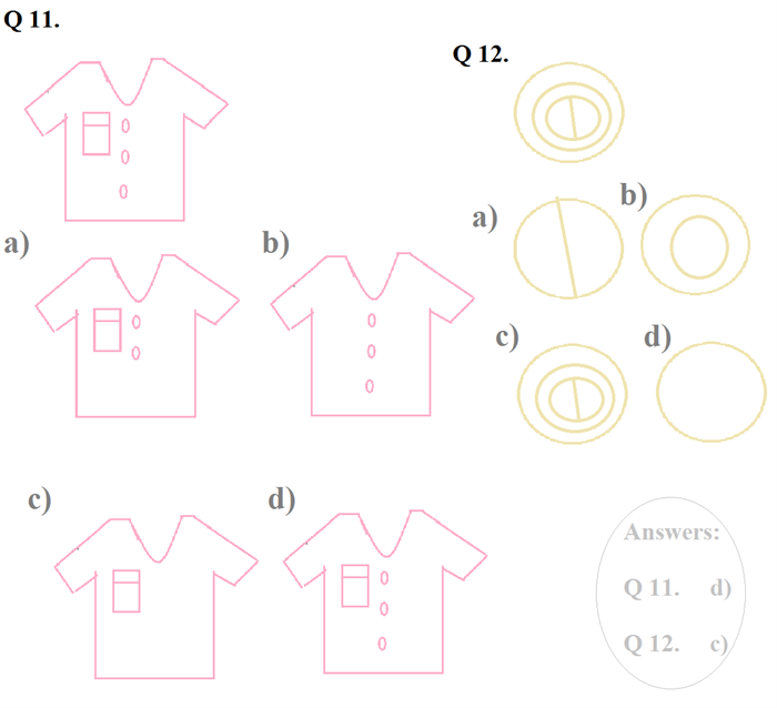 Worksheet for look alike exercise 5