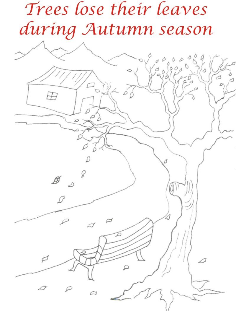 Autumn Season printable coloring pages for download