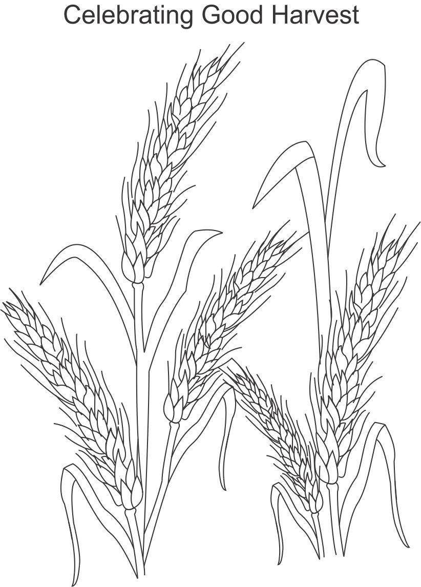 harvest coloring pages - photo #17