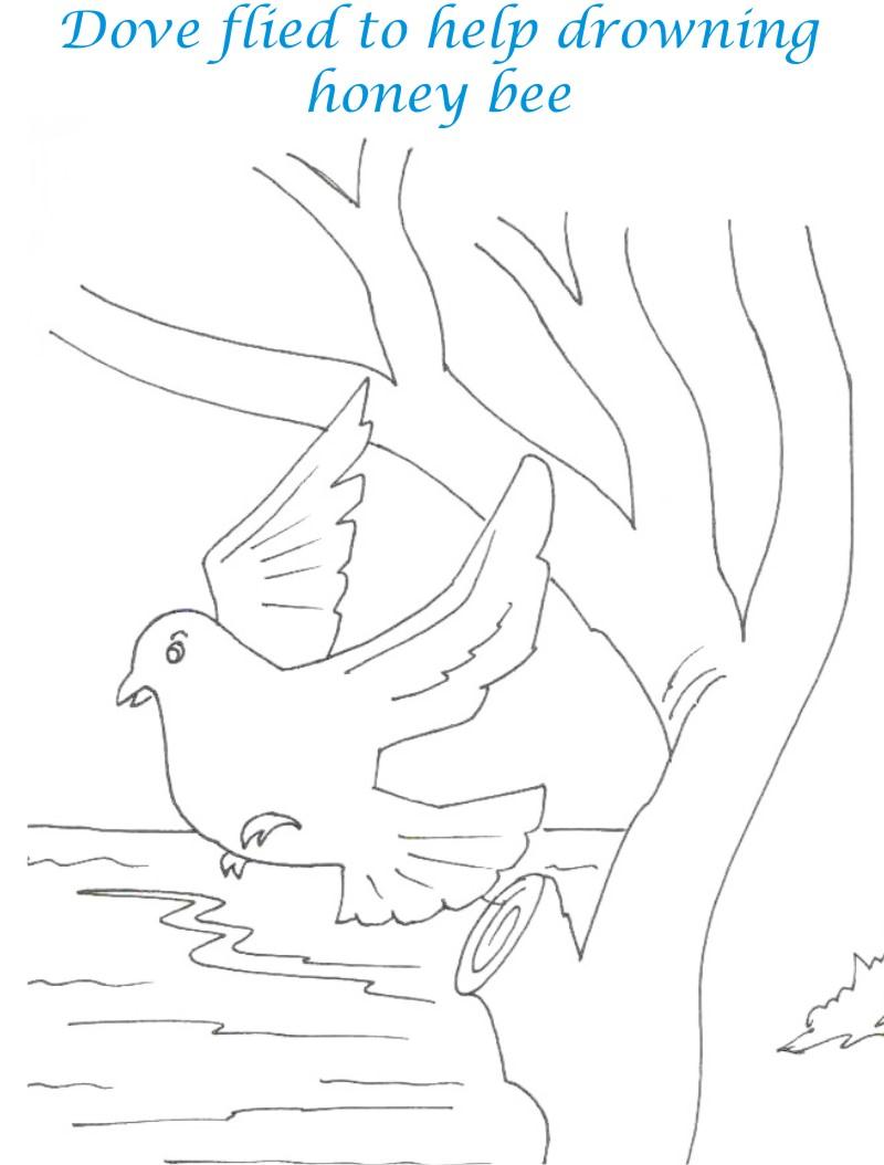 Bee and Dove story coloring page for kids 8