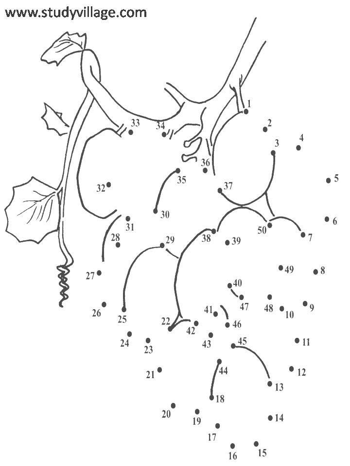 Extreme Dot To Dot Printables - Carinewbi