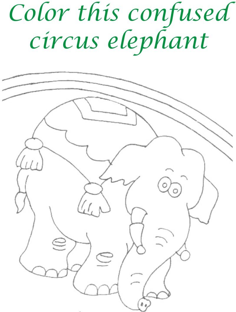 Circus printable coloring page for kids 12