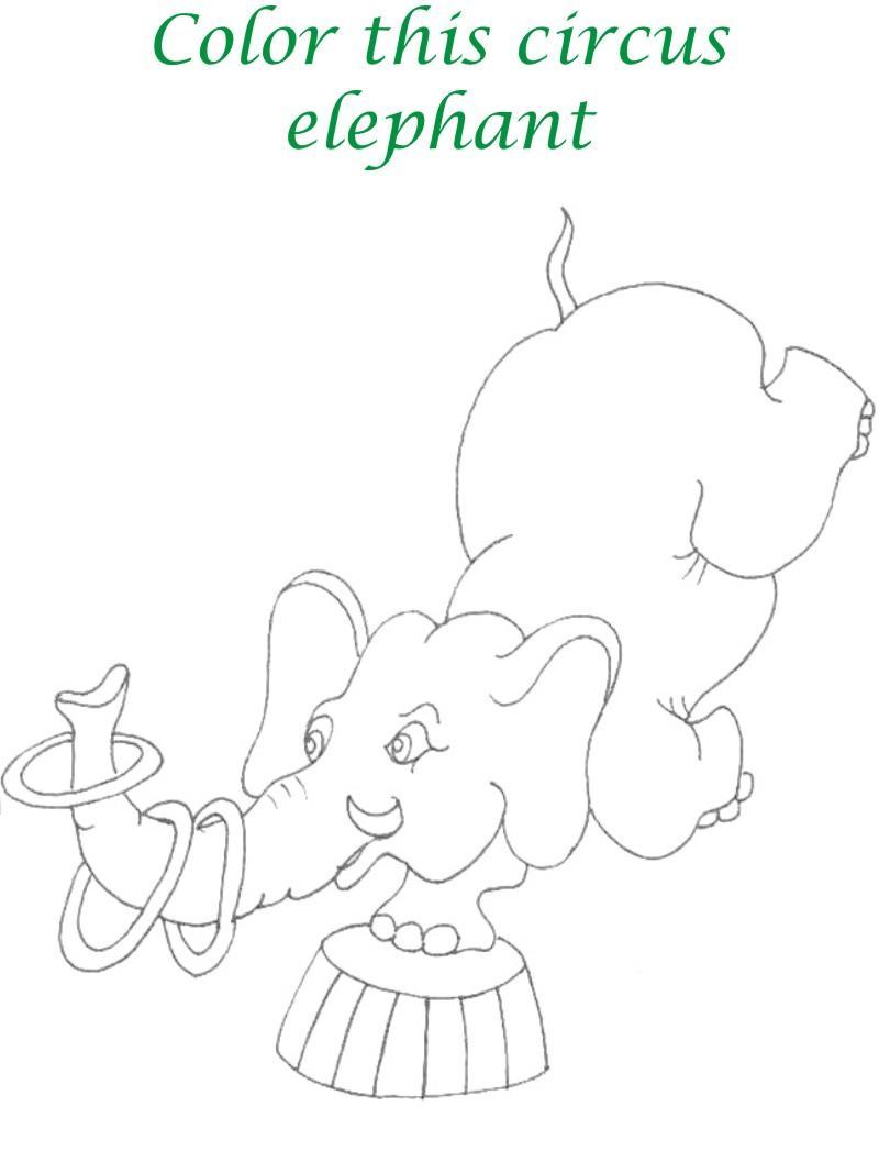 Circus printable coloring page for kids 4