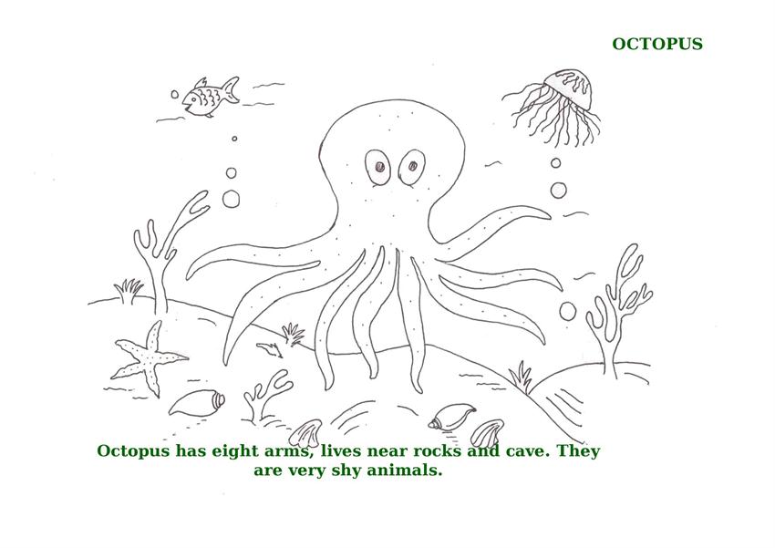 ocean creatures coloring pages to print - photo #39