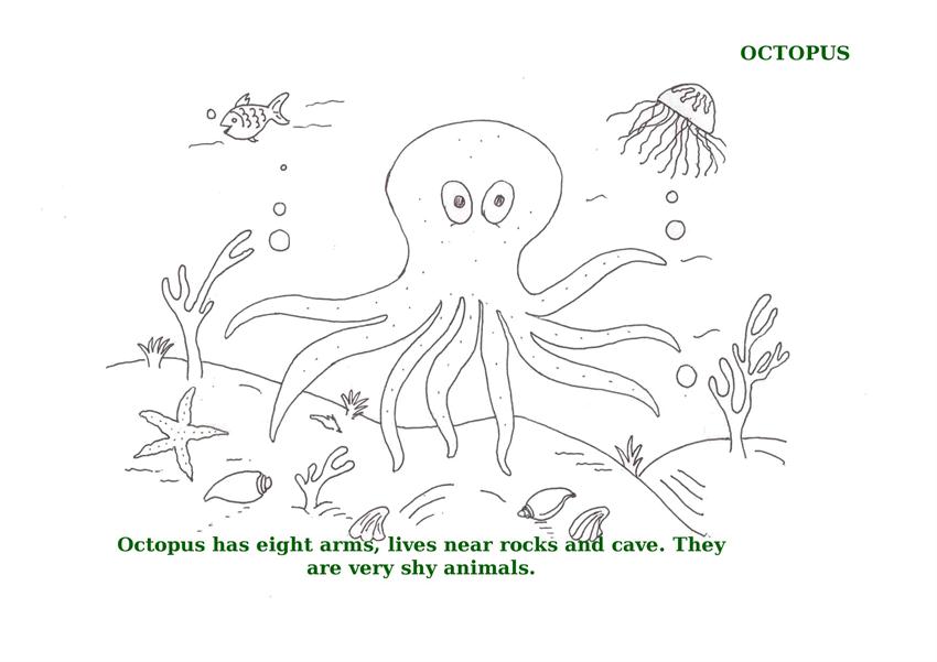 ocean animals coloring pages to print - photo #35