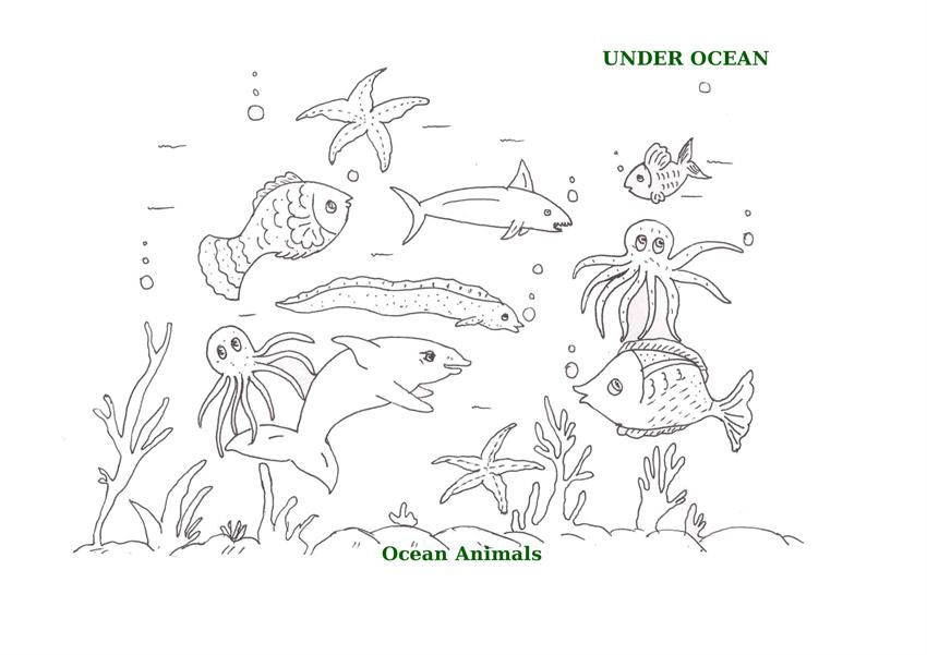 ocean habitat coloring pages free - photo #18