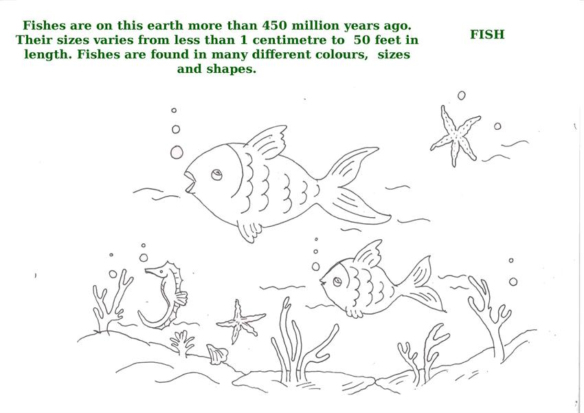 Ocean Animals Printable Coloring Pages for kids 14