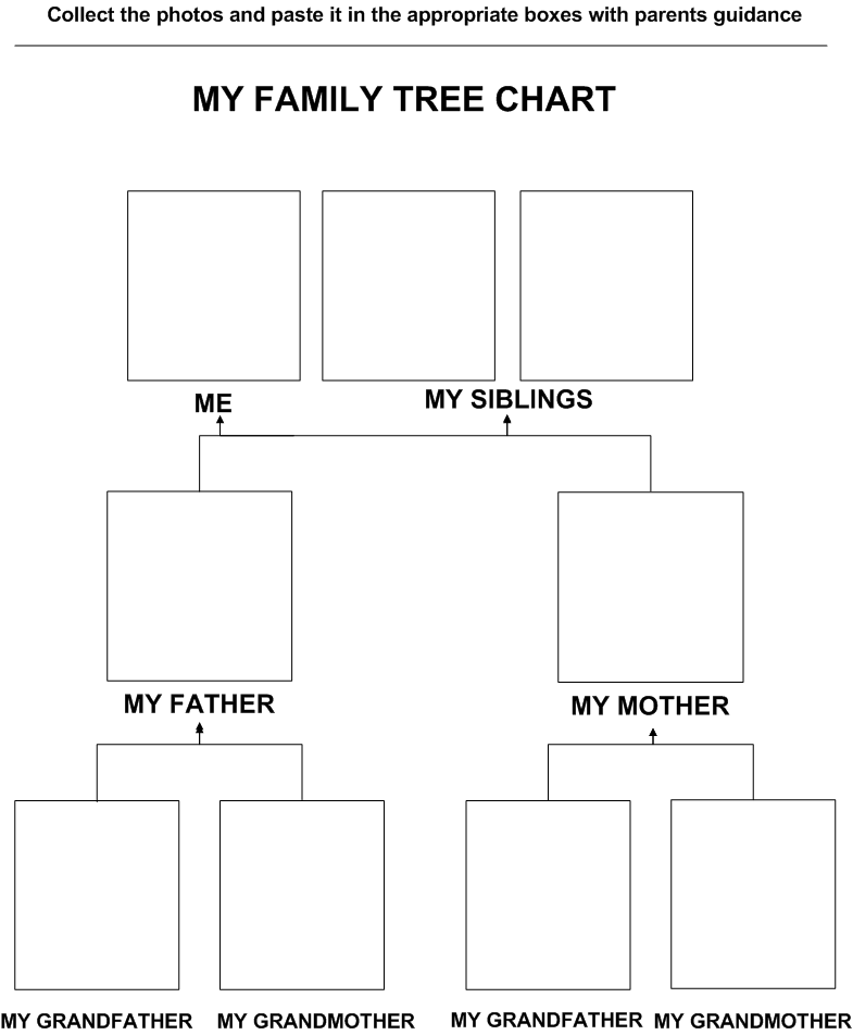 my family tree chart printable for 3 6 year kids my family tree chart