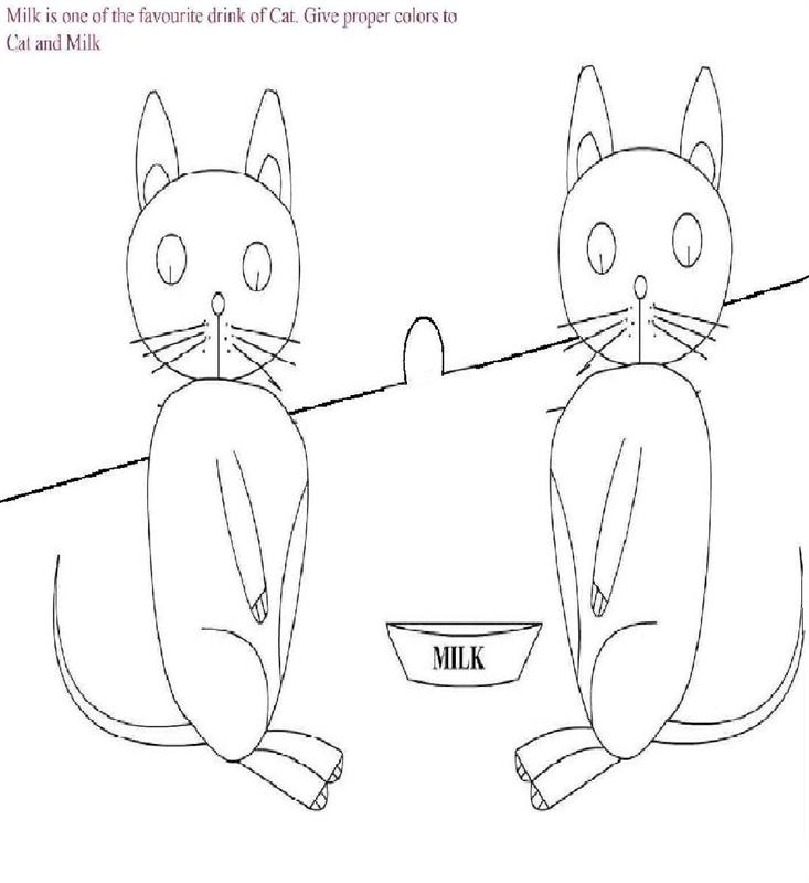 Cat drinking Milk coloring page for kids
